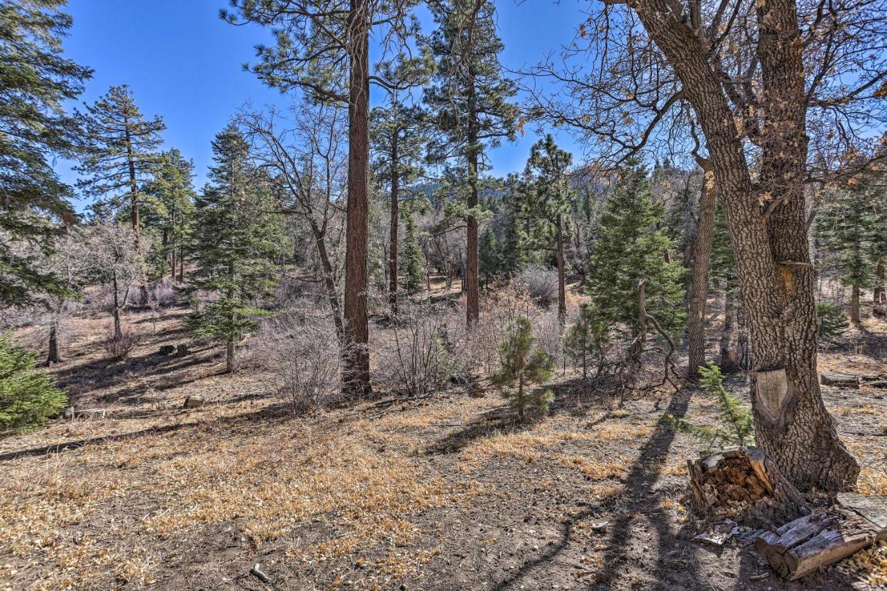 Villa Chocolate Moose Cabin Short Walk To Slopes Big Bear Lake Exterior foto