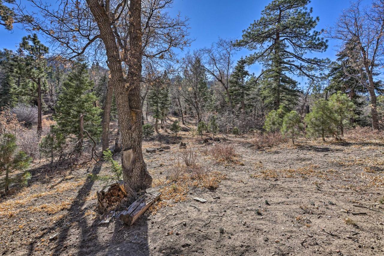 Villa Chocolate Moose Cabin Short Walk To Slopes Big Bear Lake Exterior foto